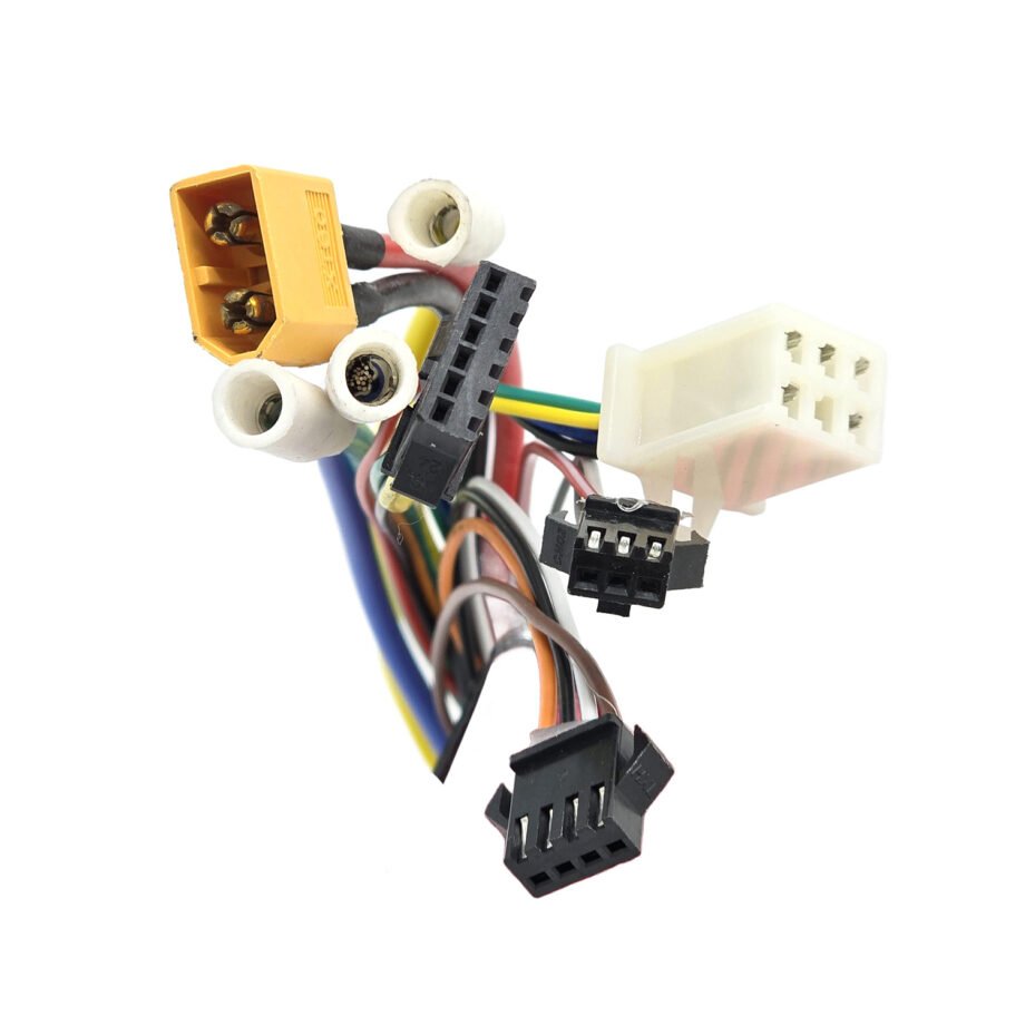 Controladora 48V-23A Compatible para Speedway/Rockway PRO